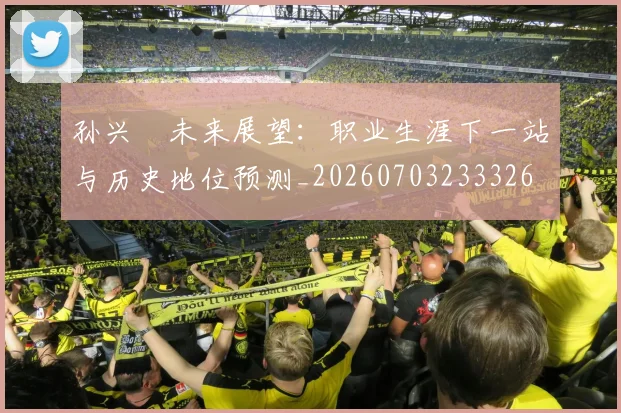 孙兴慜未来展望：职业生涯下一站与历史地位预测_20260703233326