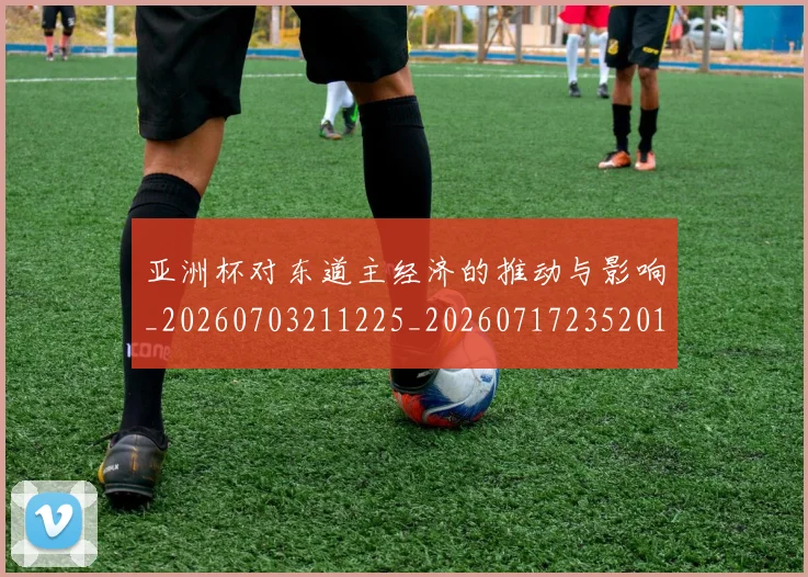 亚洲杯对东道主经济的推动与影响_20260703211225_20260717235201